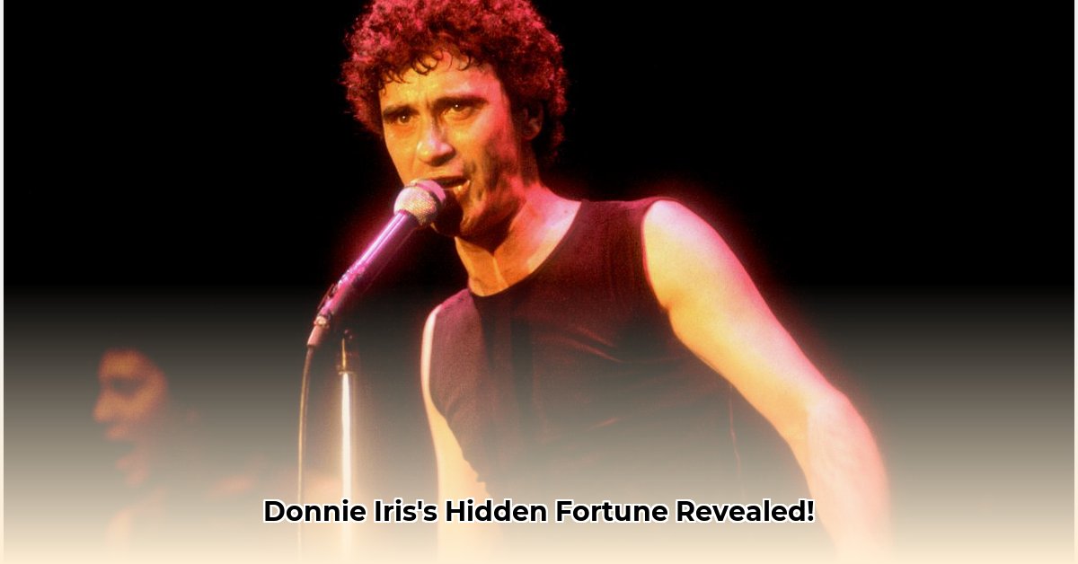 donnie-iris-net-worth